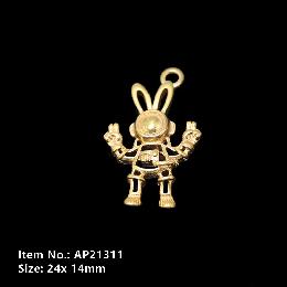 Accessories  AP21311