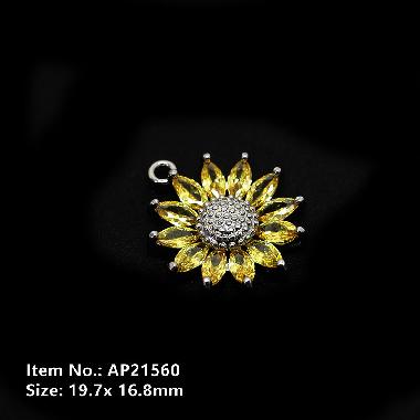 Accessories  AP21560