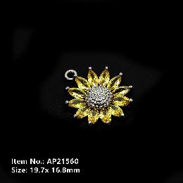 Accessories  AP21560